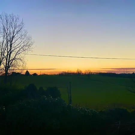 In The Countryside Le Petit Bleu